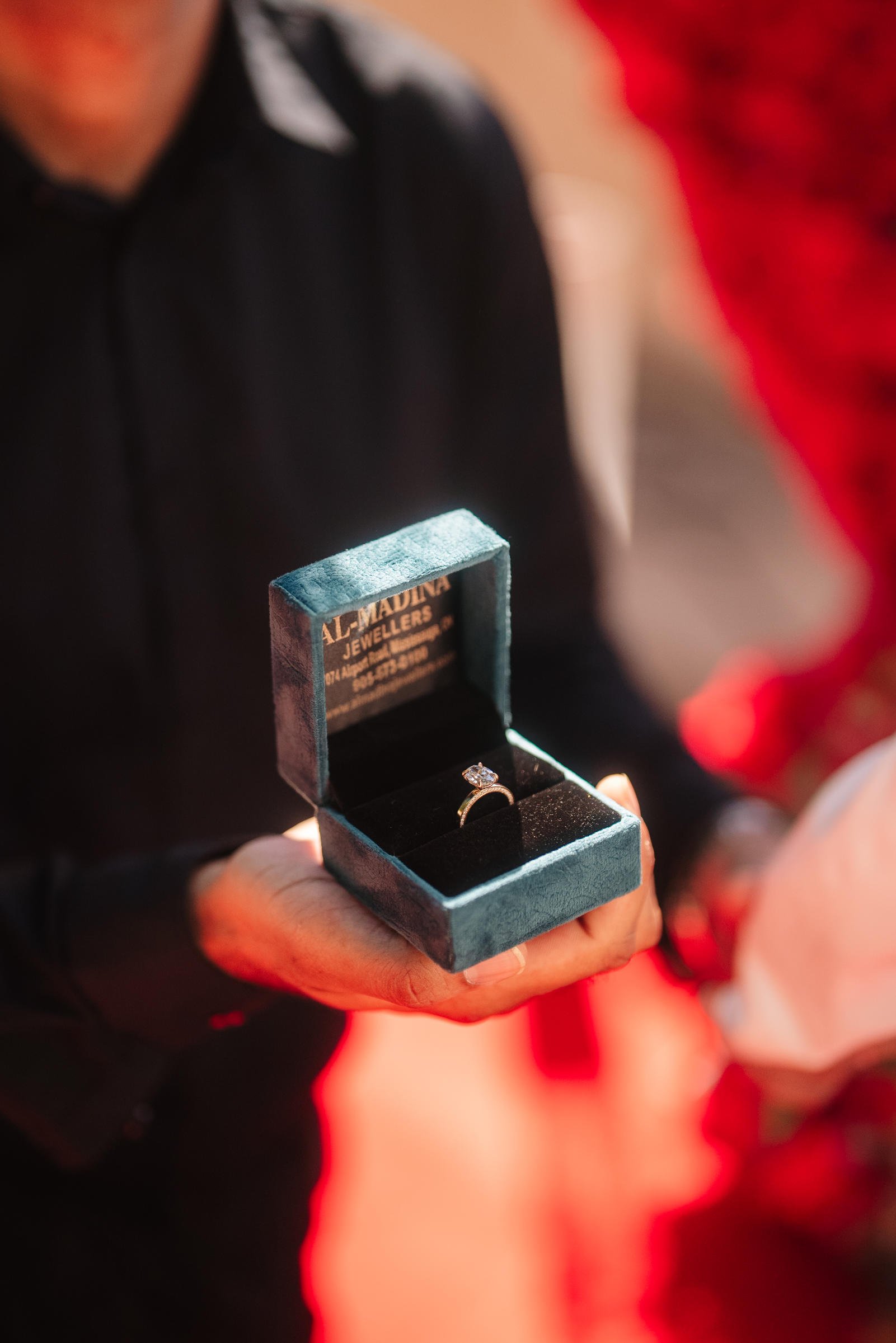 Saher & Shirjeel's Proposal - Photo 10